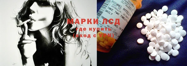 трава Карпинск
