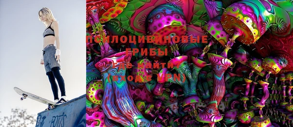PSILOCYBIN Карталы