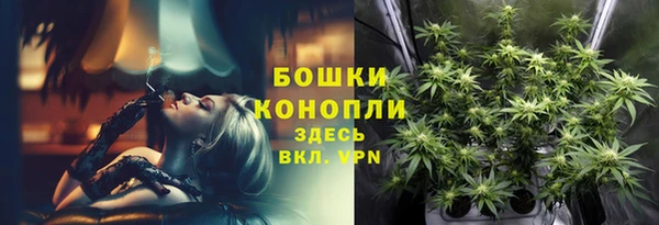 крисы Киреевск
