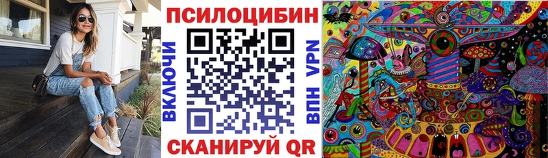 Галлюциногенные грибы Cubensis  Купить где  Татарск 